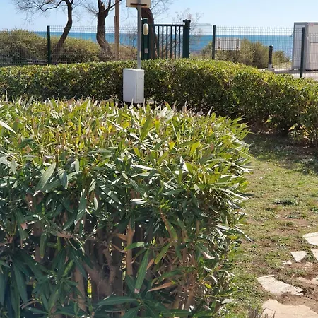 公寓 Cap D'agde 阿格德